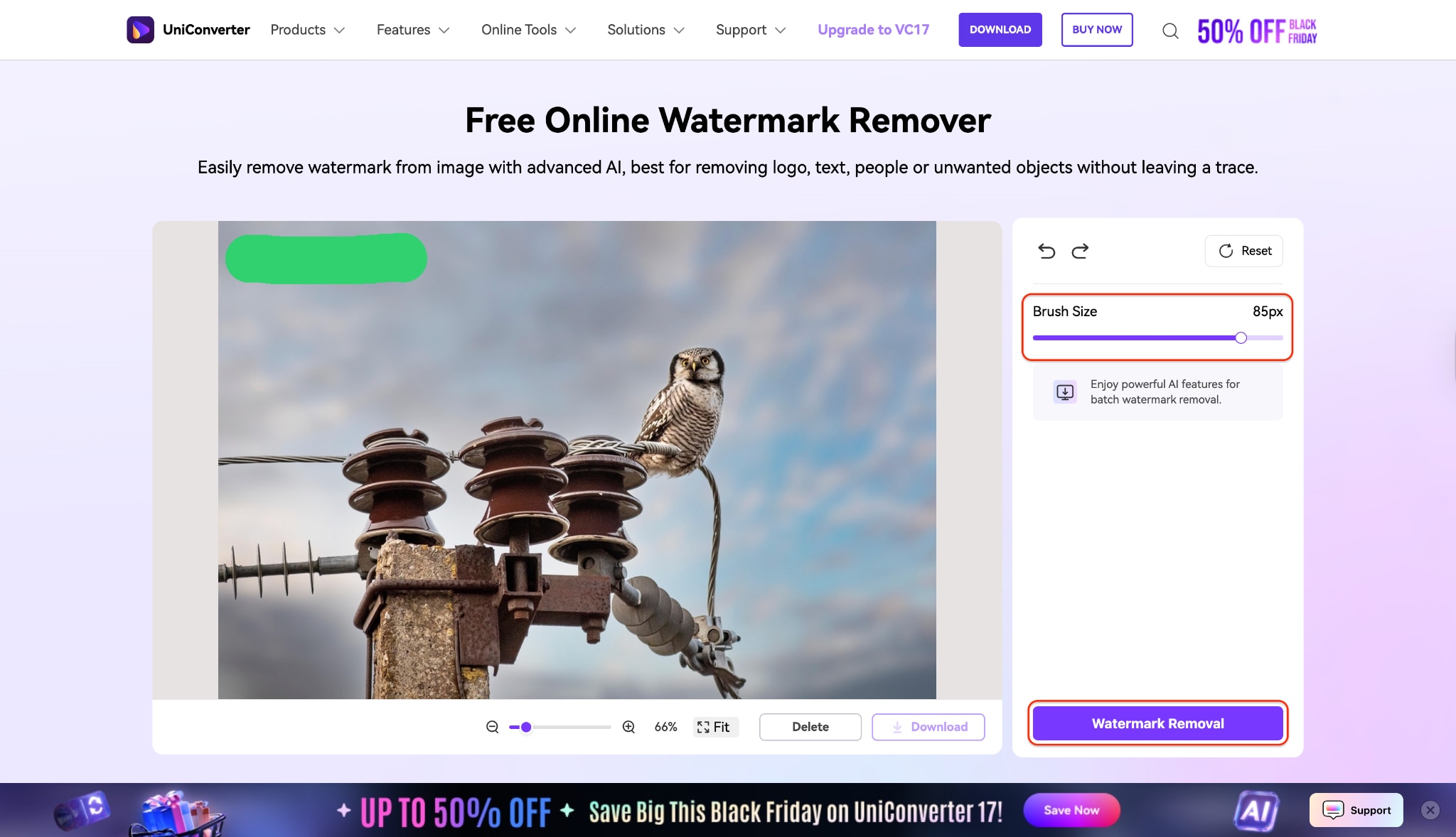 brush the watermarked area