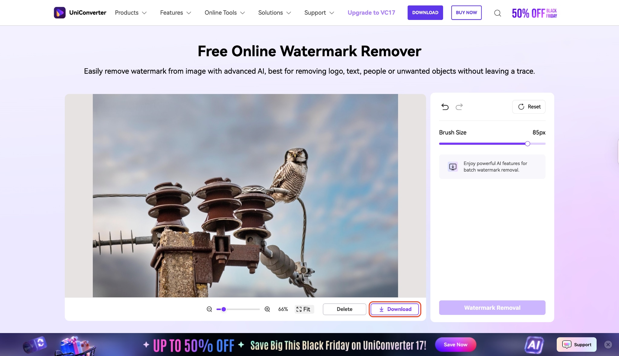 download your watermark removed image