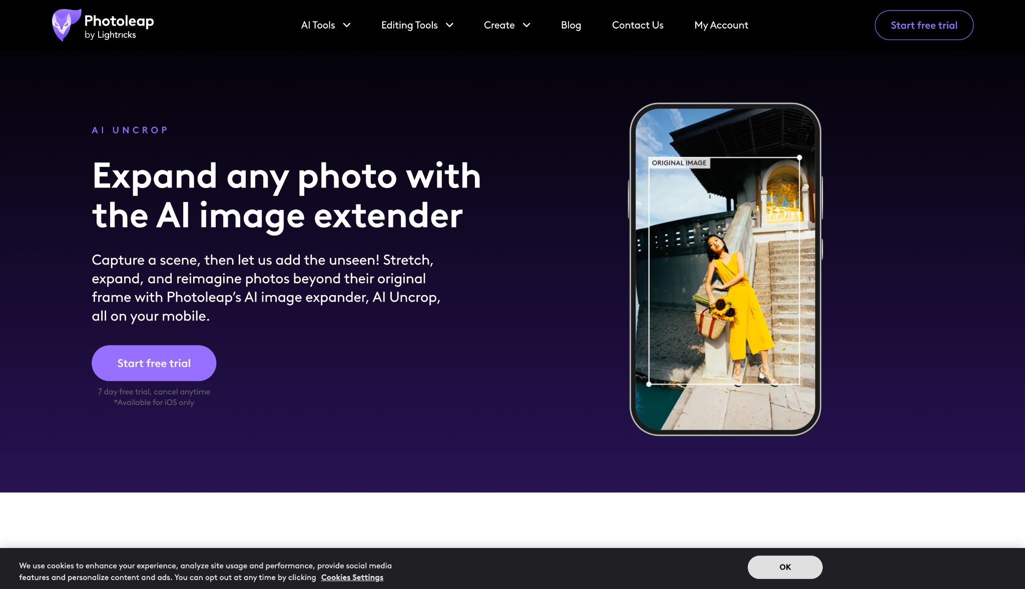 lightricks photoleap homepage