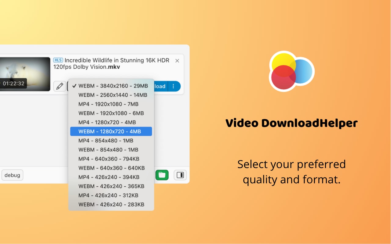 video downloadhelper interface