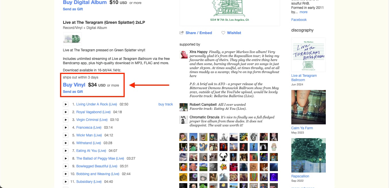 bandcamp buy digital album
