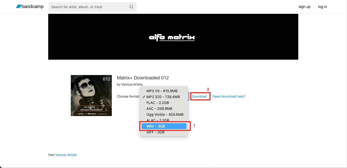 bandcamp download music album