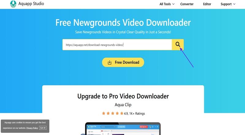 save online videos aquapp tool