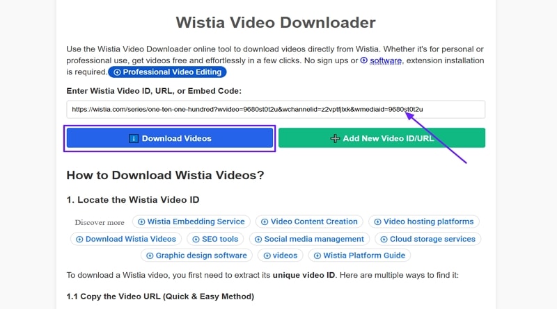 paster video link wistia downloader