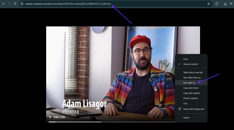 save wistia video system