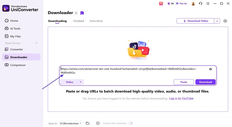 paste wistia video url