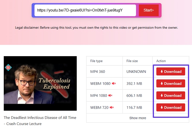 choose file format to download