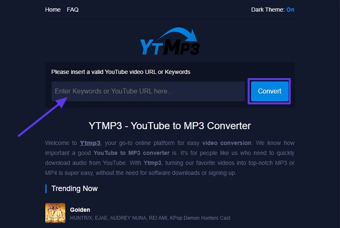 paste video url to convert