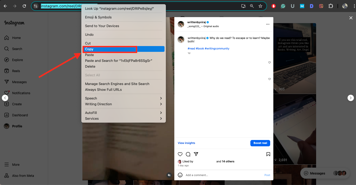 insta savetube website copy instagram reel link