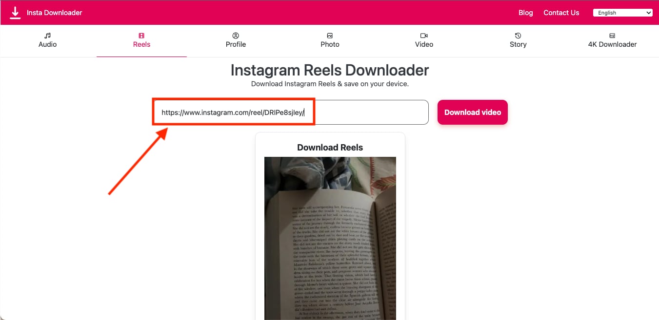 insta savetube website paste instagram reel link
