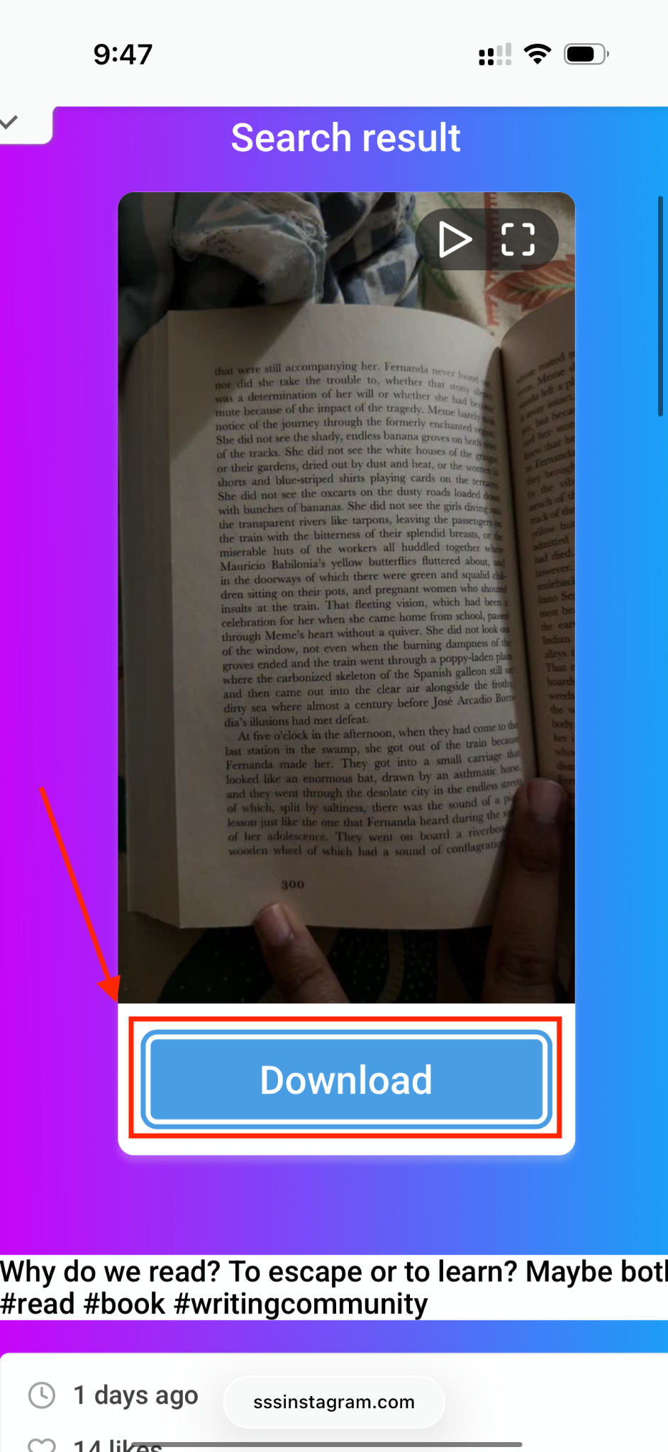 sssinstagram website download