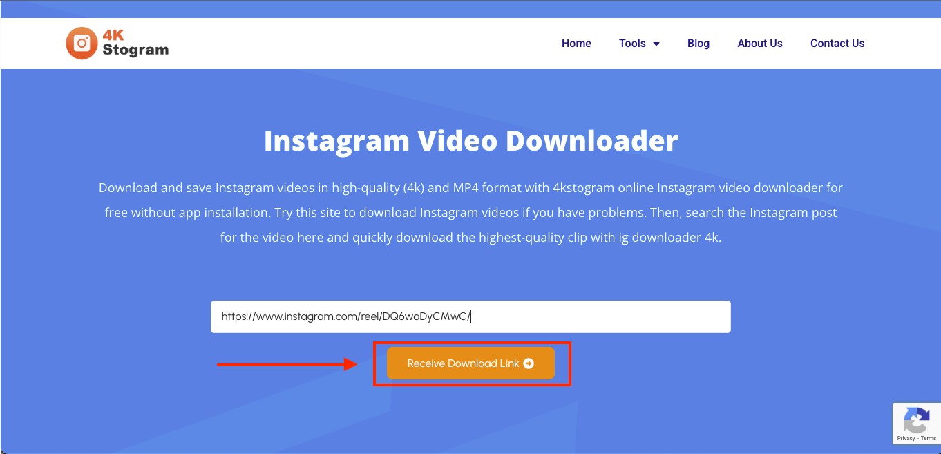 4kstogram receive download link