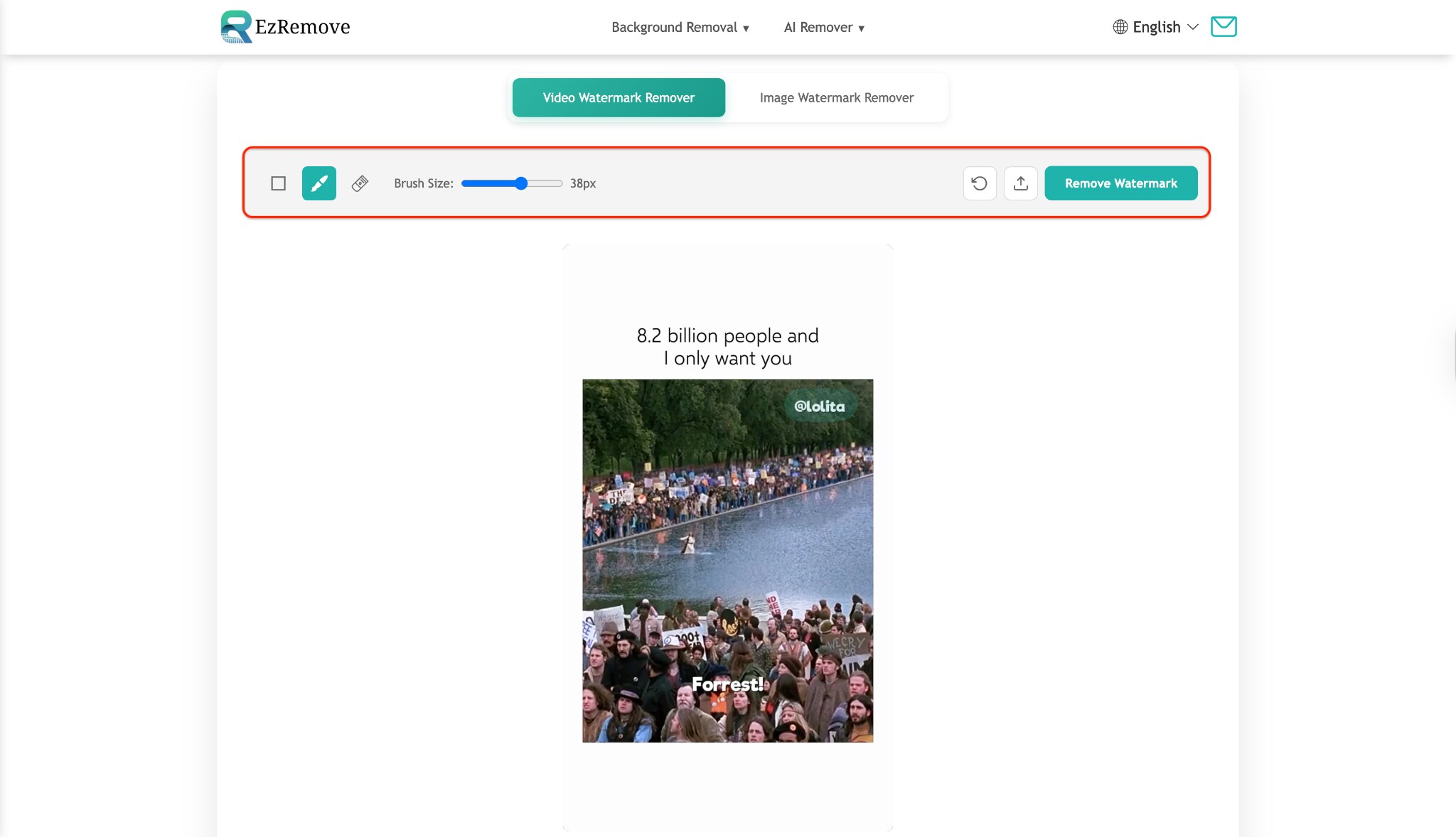 select the brush size and select the area