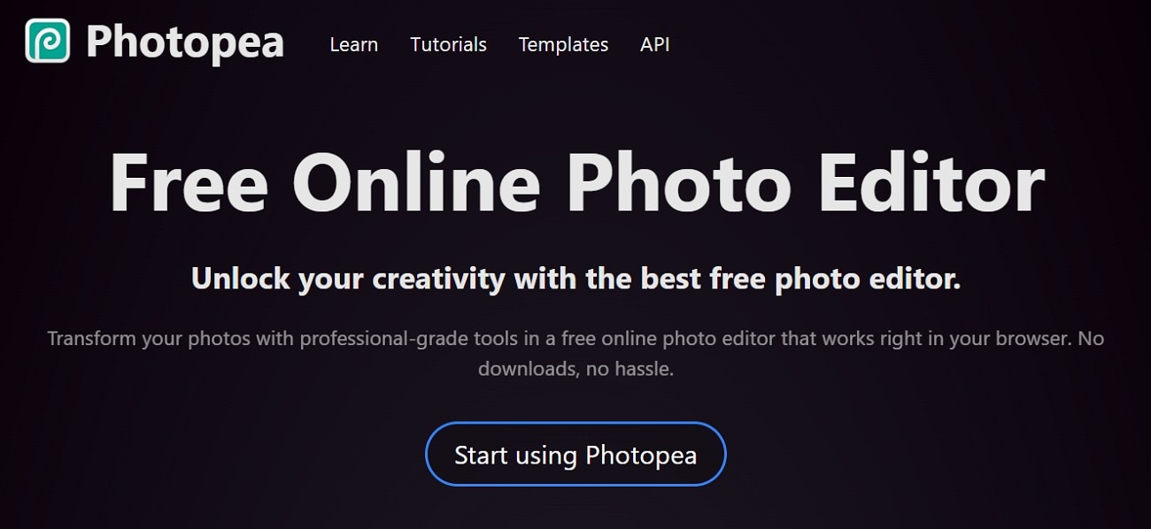 photopea image resizer 300x80