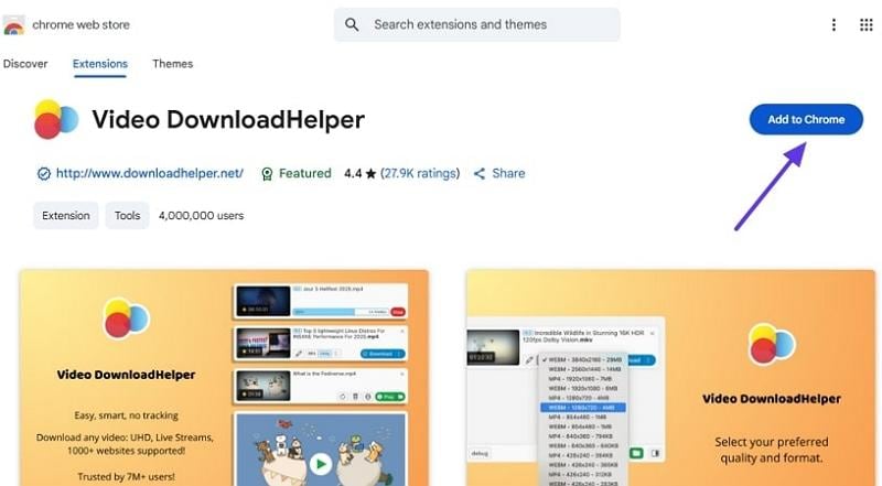 download video downloadhelper extension