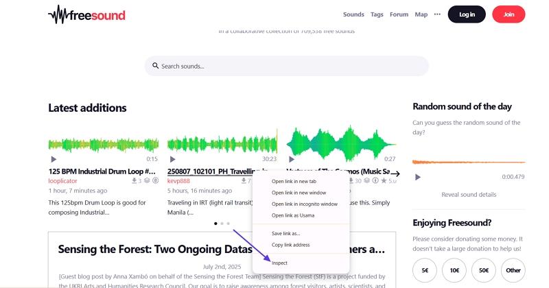 access inspect tool audio website