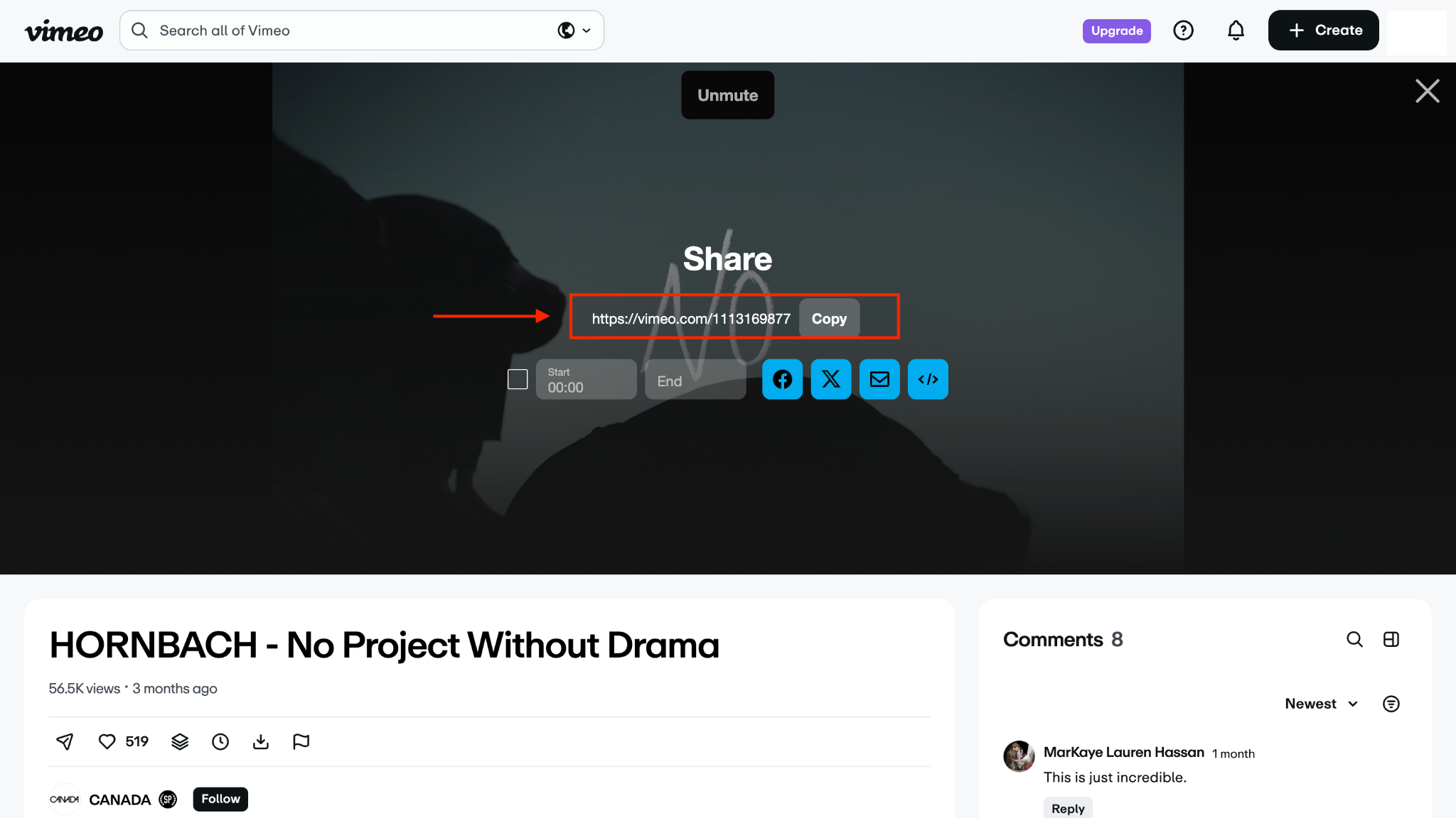 viddown copy vimeo video link
