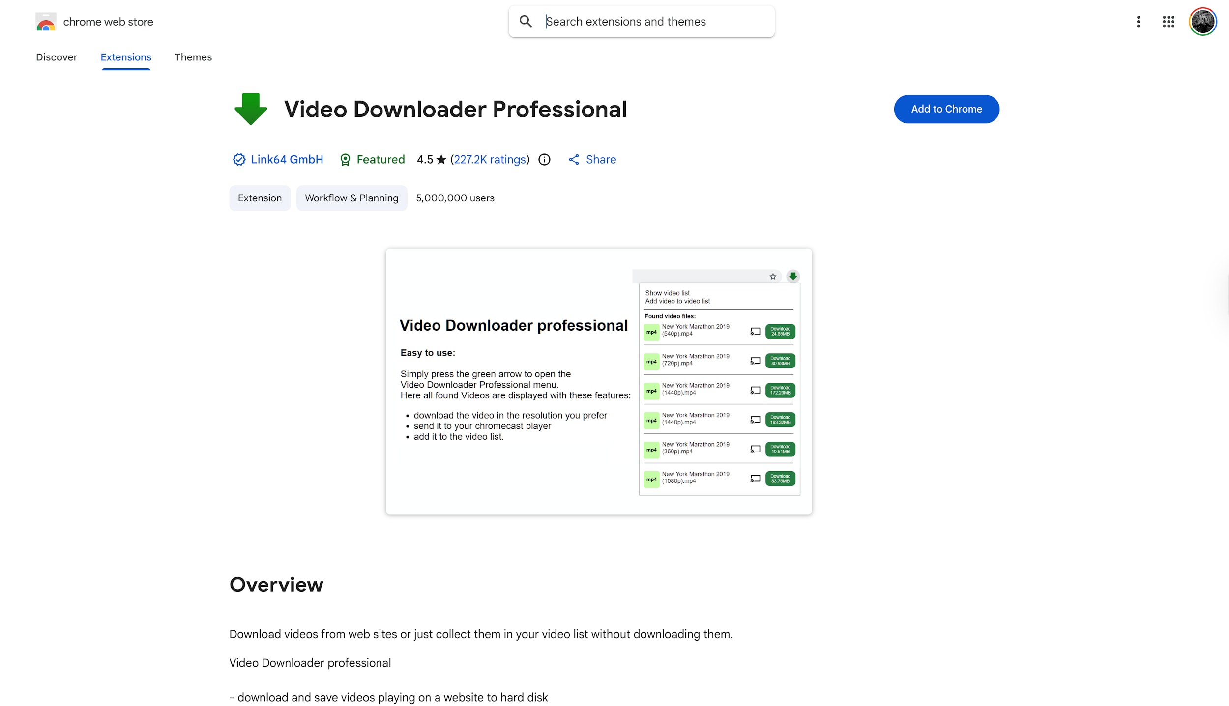 video downloader professional interface