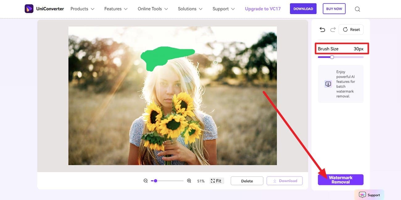 pick the watermark removal option