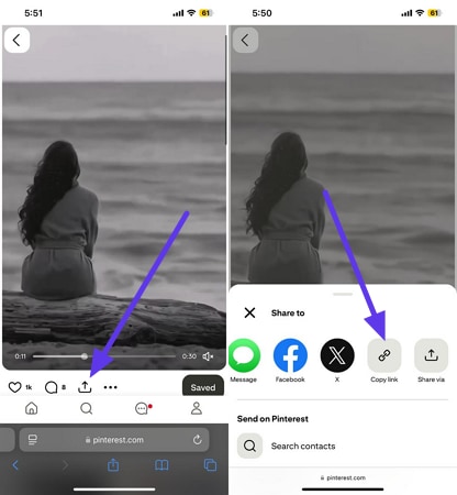 open video in safari and paste link