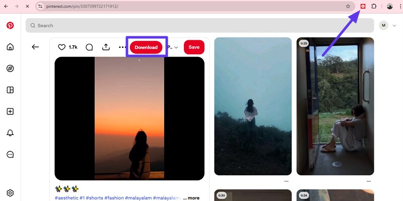 press download to save video