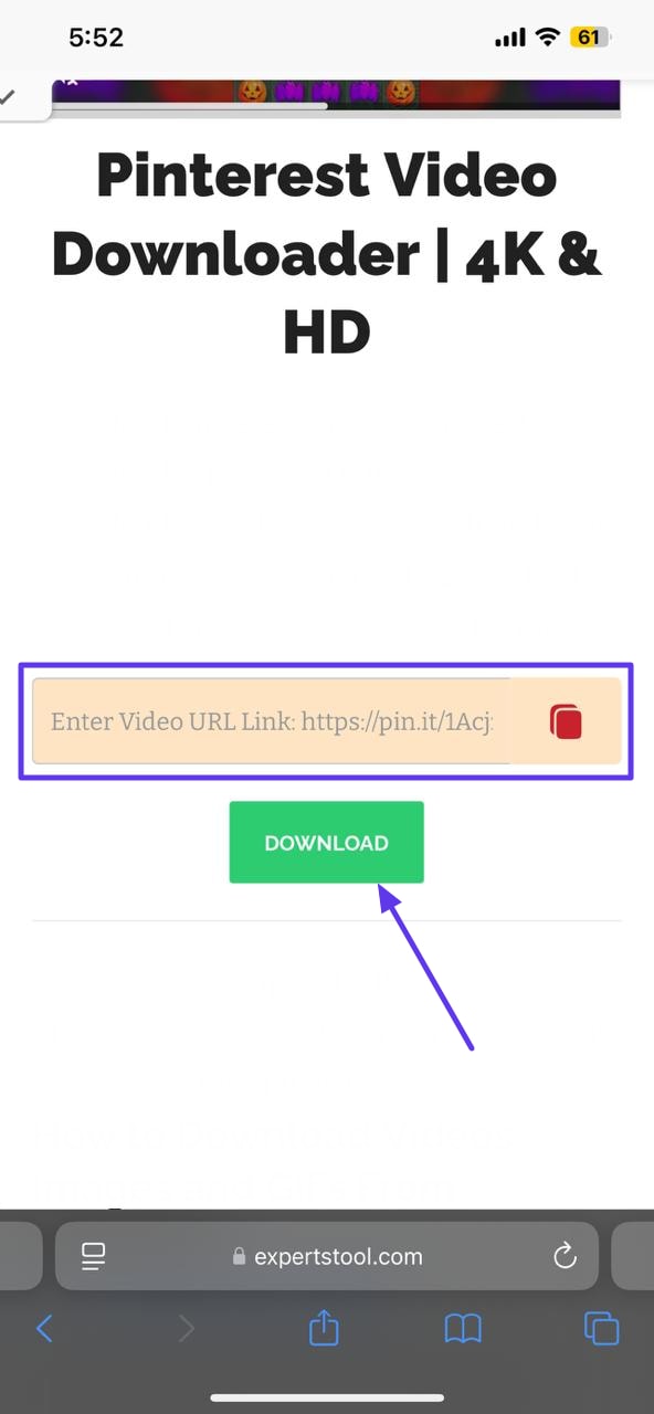 paste video and download