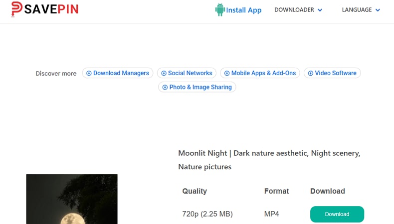 online pinterest video downloader savepin