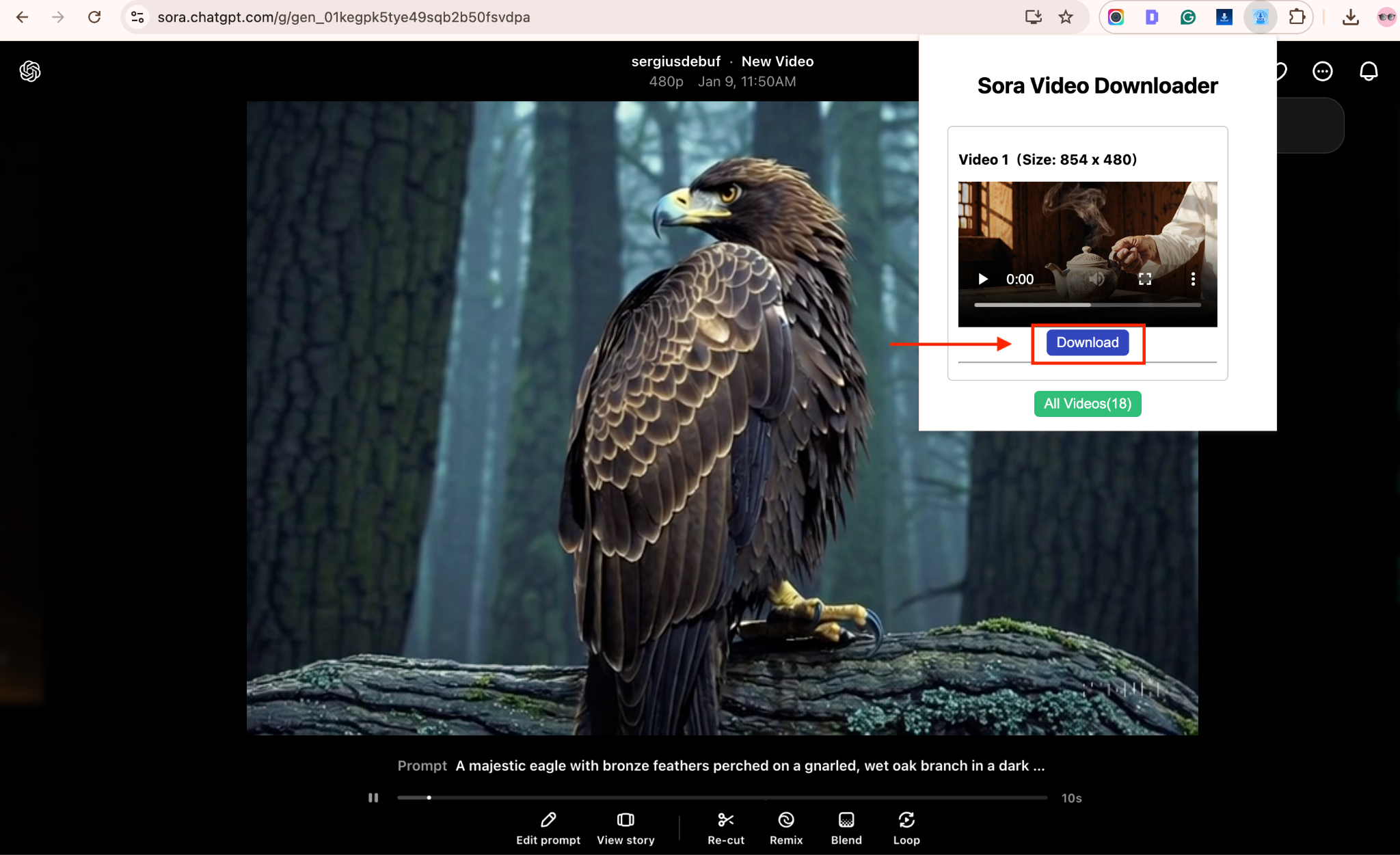 openai sora video downloader download
