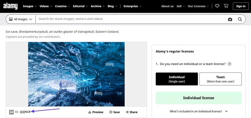 access alamy image interface