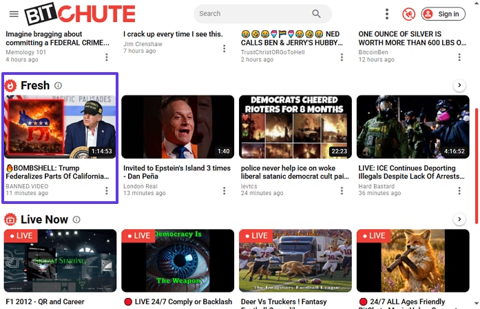 download bitchute videos without registration