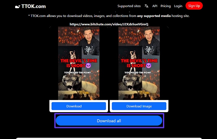 download videos for bitchute offline viewing