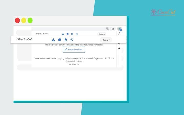 install cococut video downloader extension
