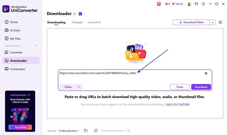paste myvidster video url