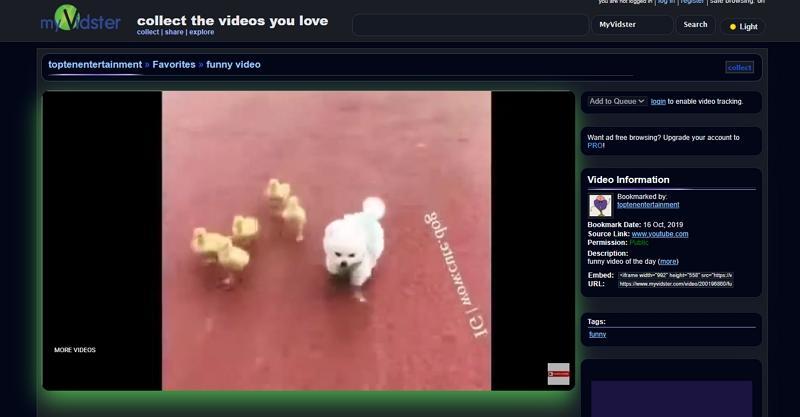 play myvidster video