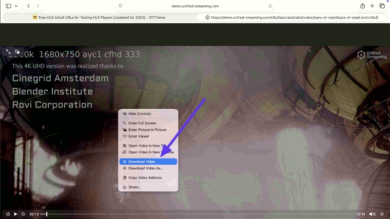 right click video choose download video