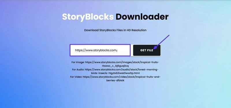 paste storyblocks link steptodown