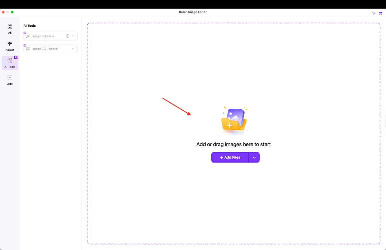 add single or batch images for bg removal