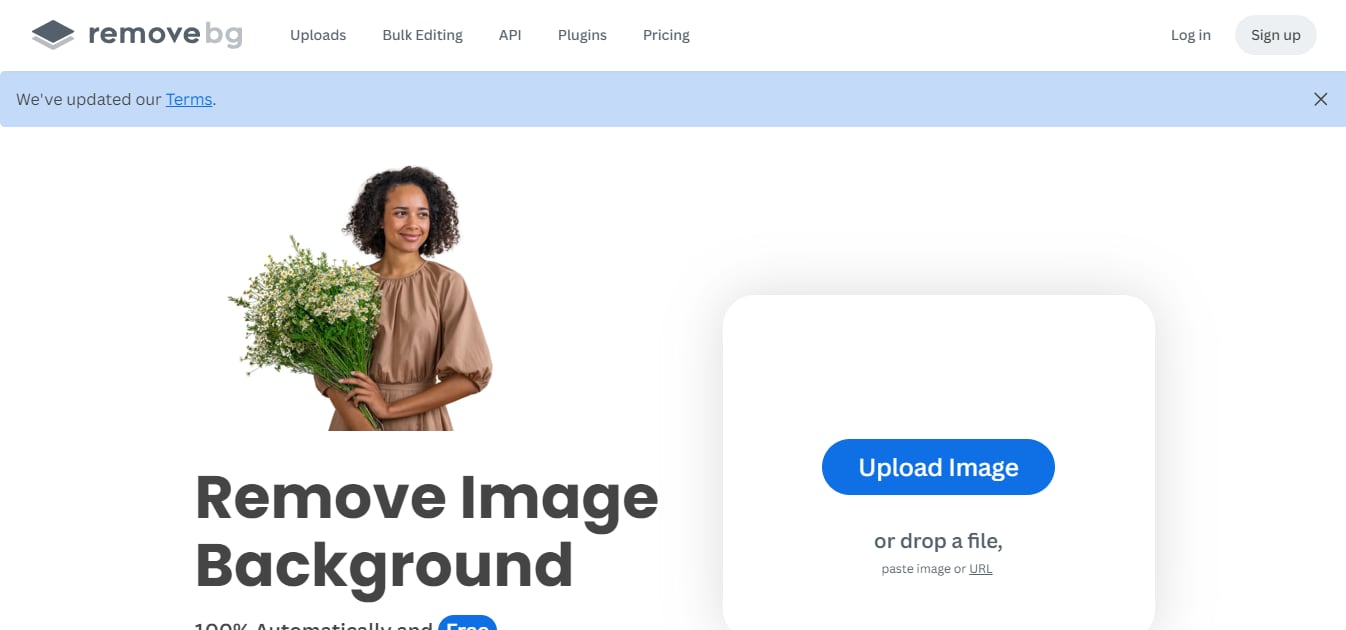 removebg background remover