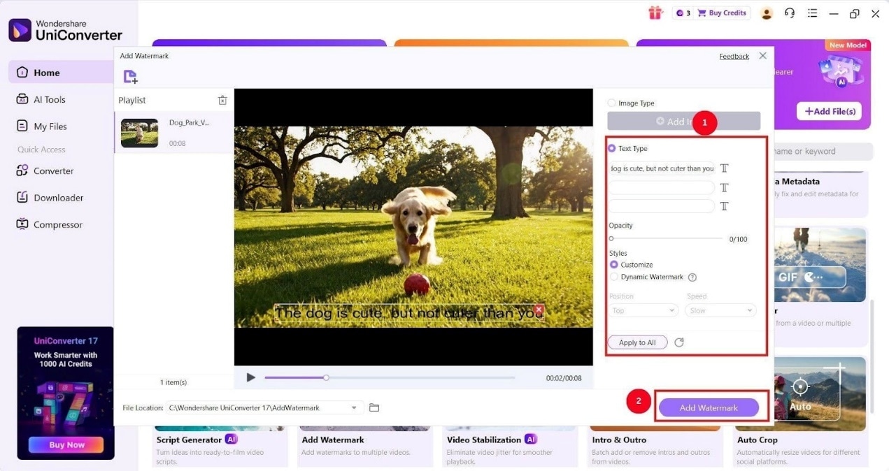 sélection du type de texte dans UniConverter