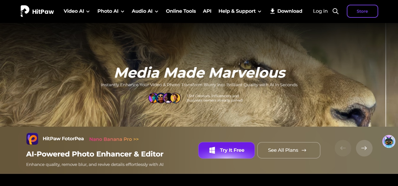 hitpaw watermark remover