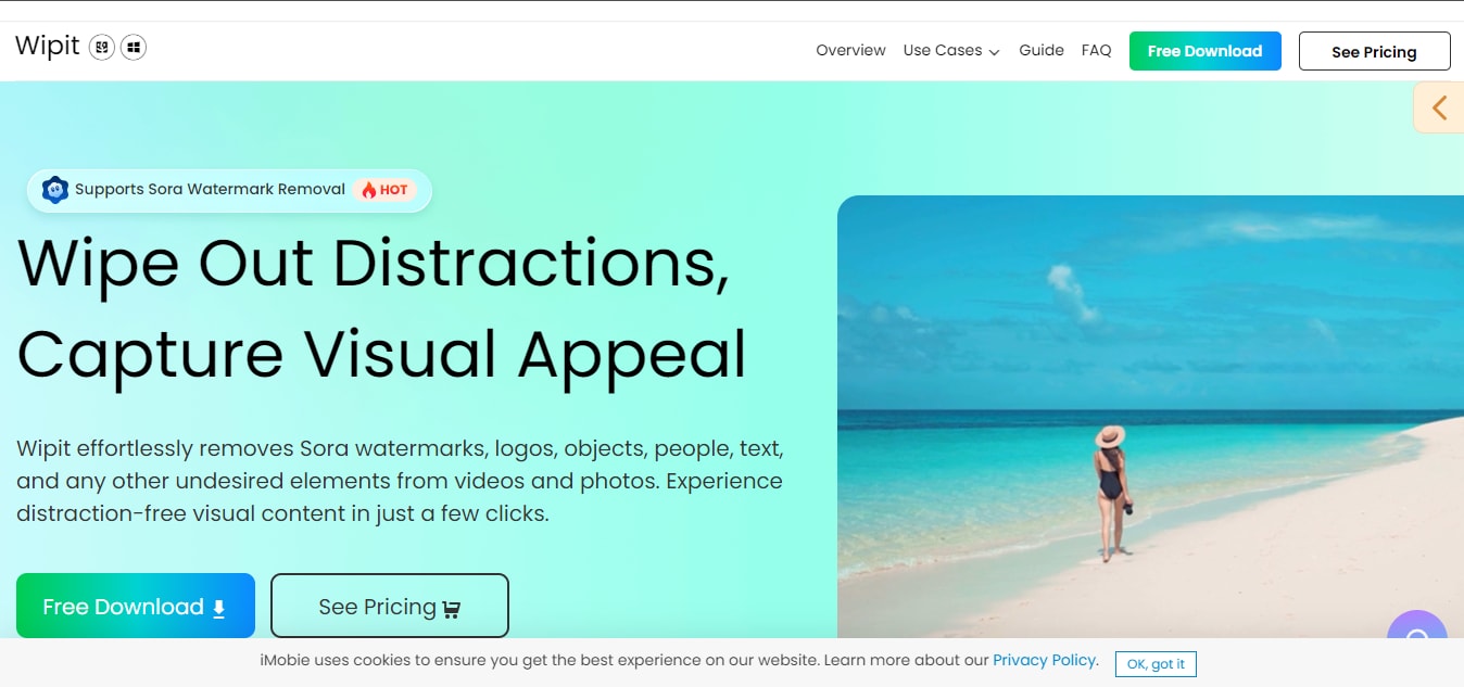 wipit watermark remover