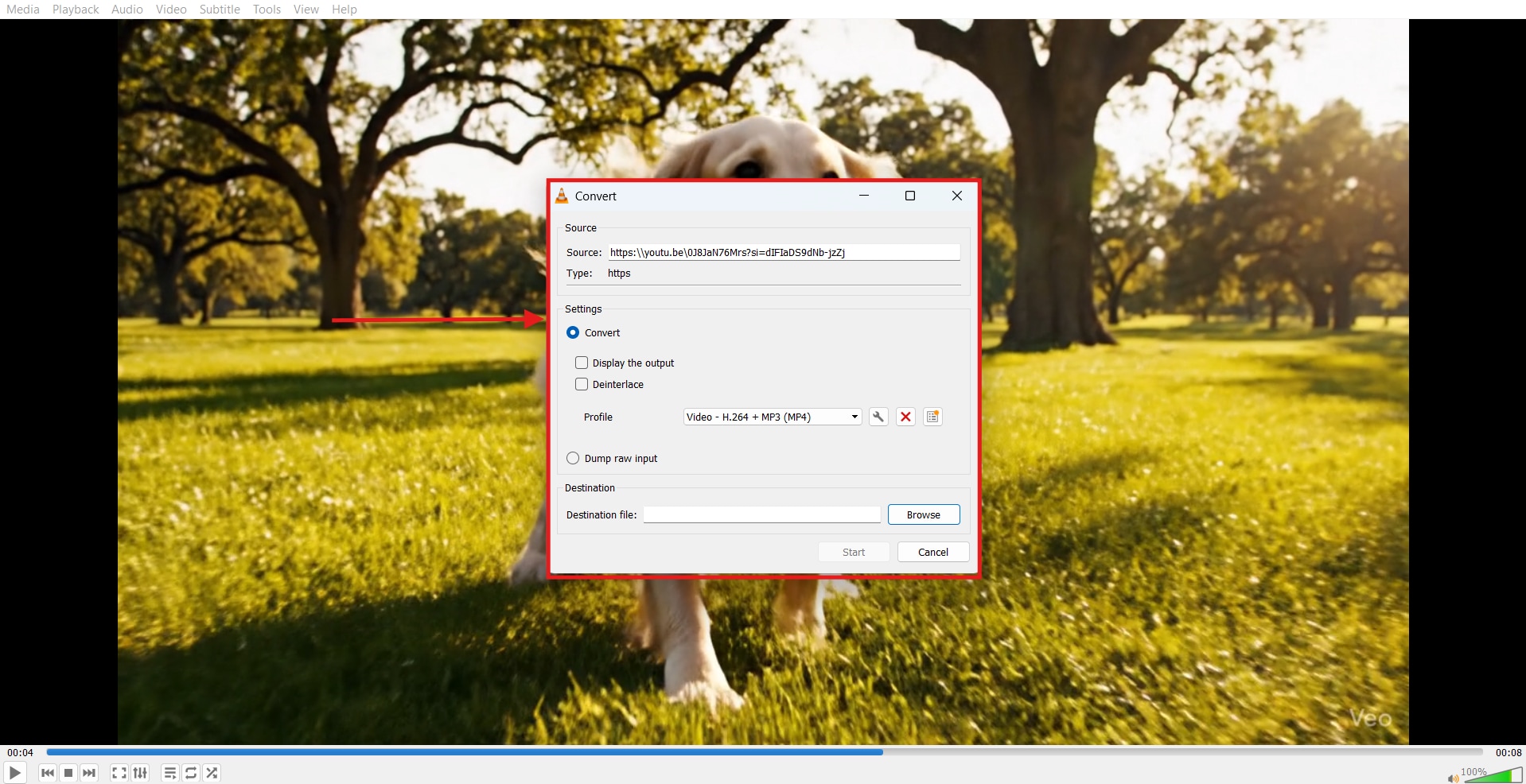 vlc download youtube video