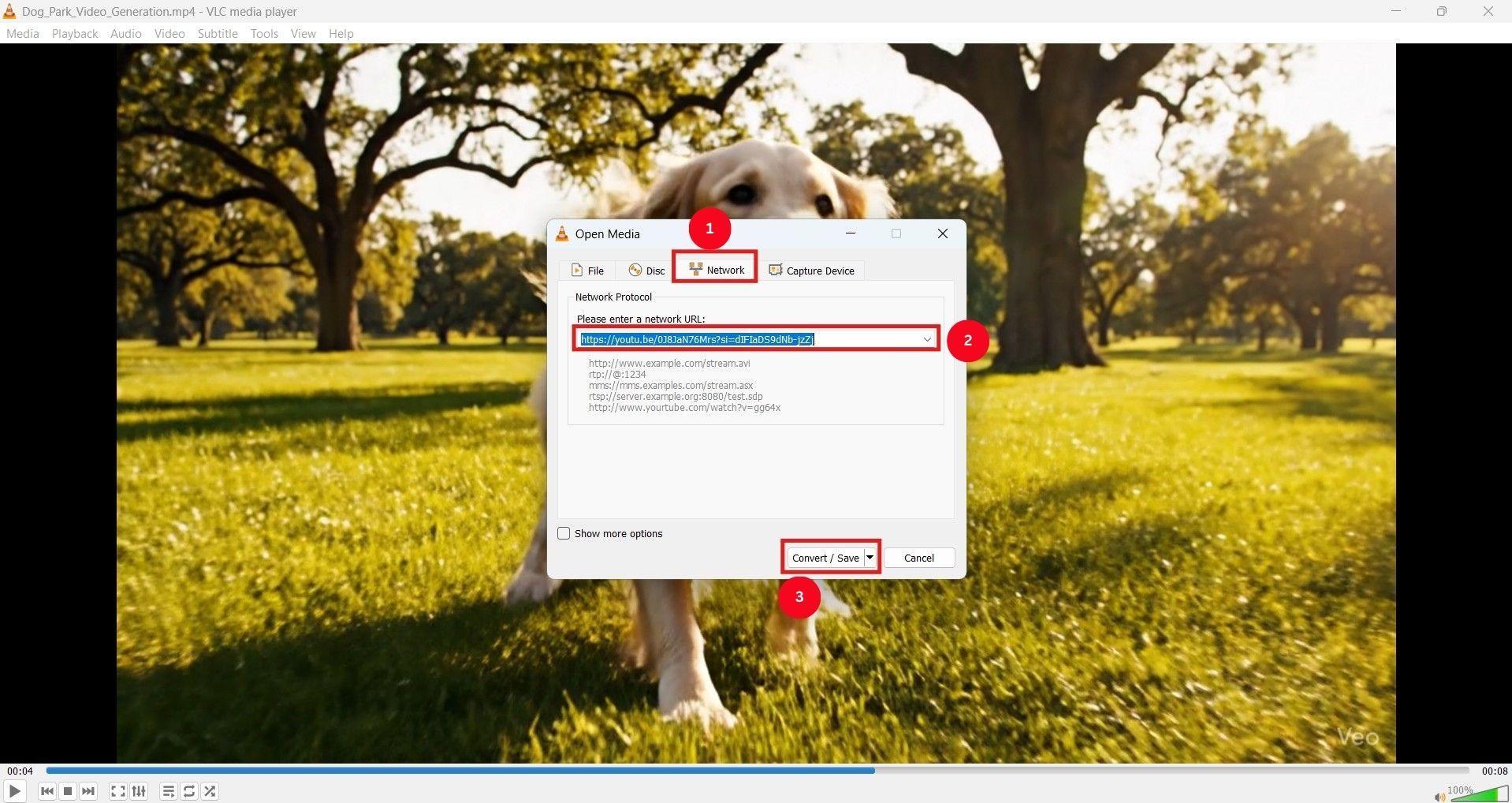vlc paste location link youtube video