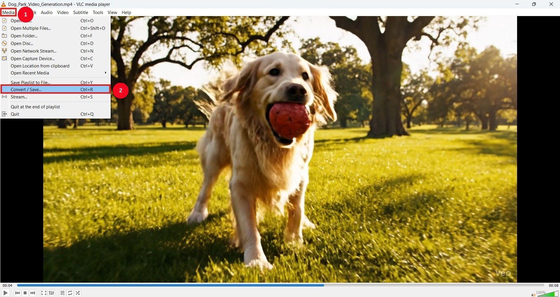 vlc select convert save option