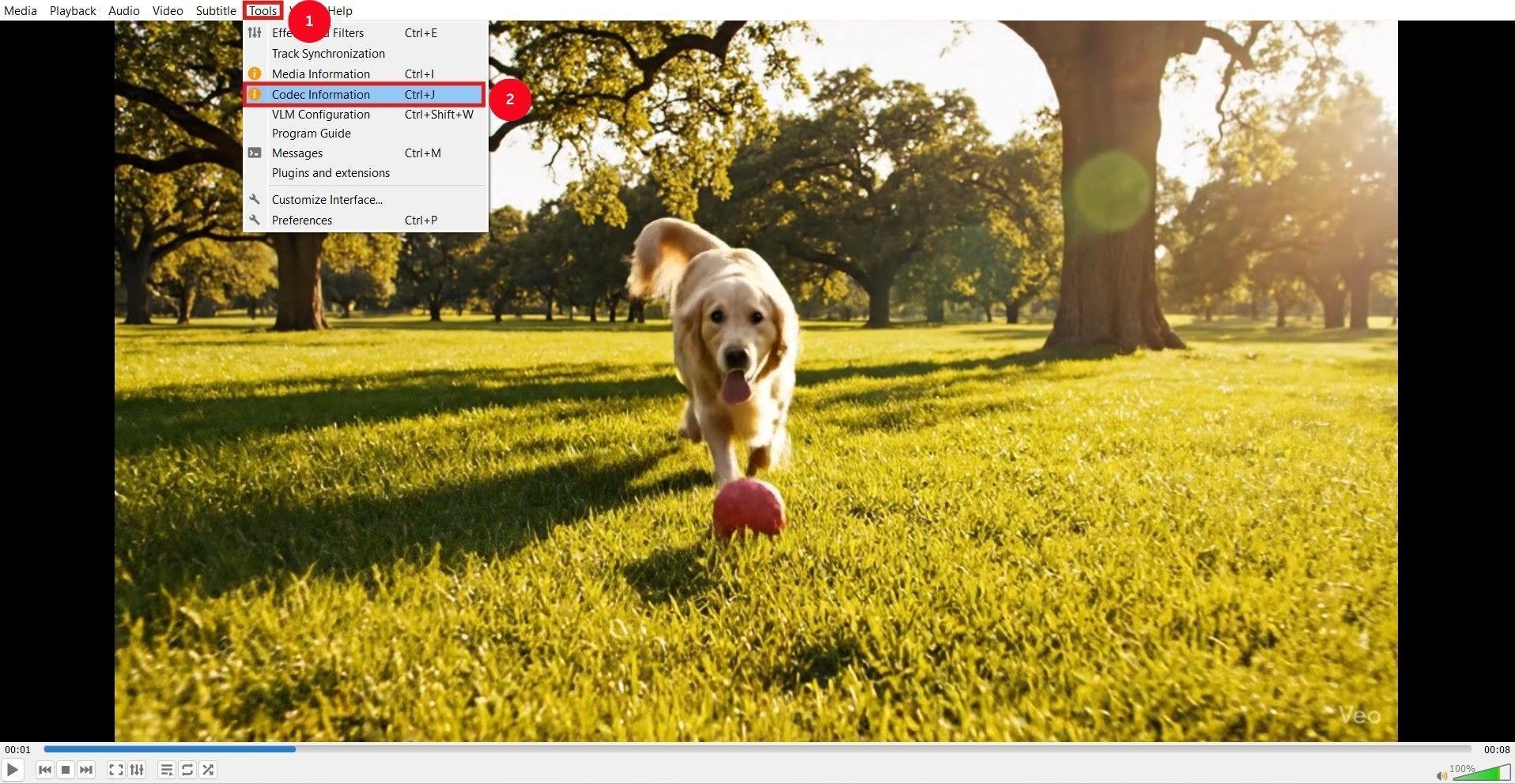 vlc video codec information