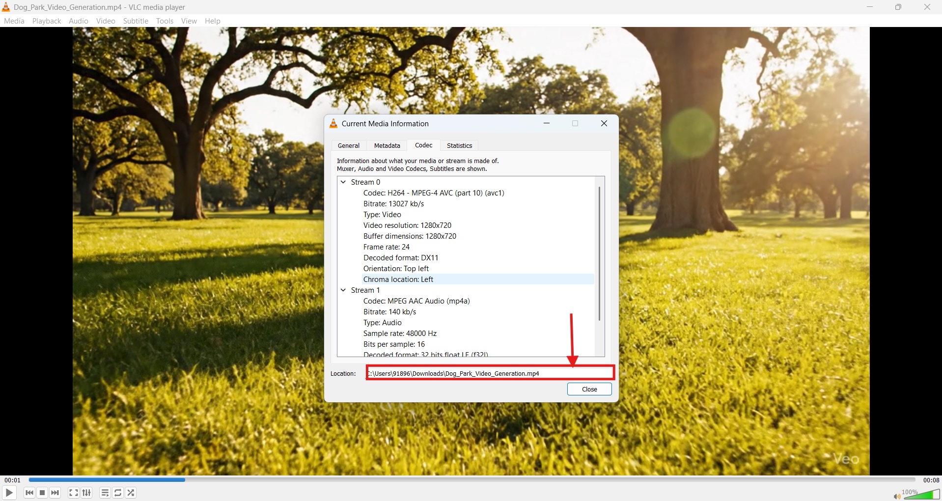 vlc youtube video location