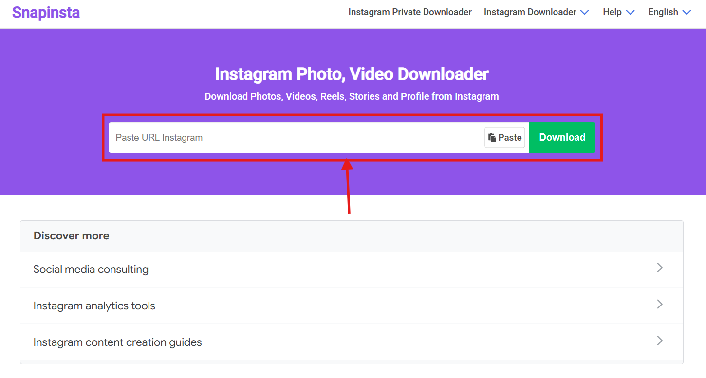 snapinsta paste instagram live link