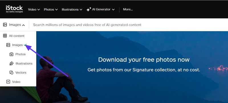 select images in istock downloader
