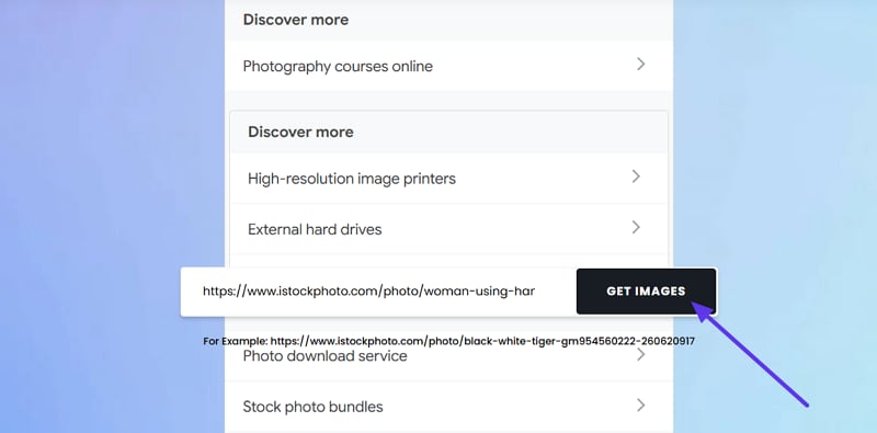 paste url in istockphoto downloader