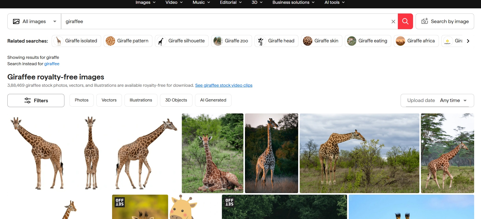 shutterstock image download choose your image